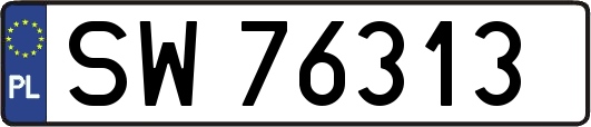 SW76313