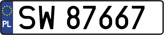 SW87667