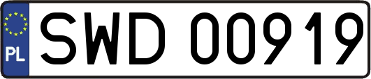 SWD00919