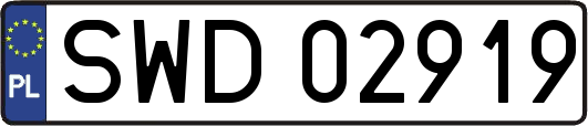 SWD02919