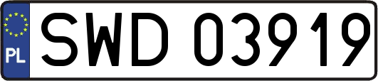 SWD03919