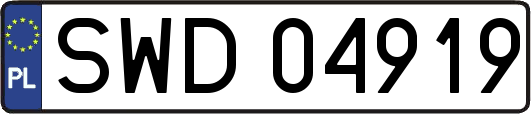 SWD04919