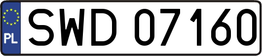 SWD07160