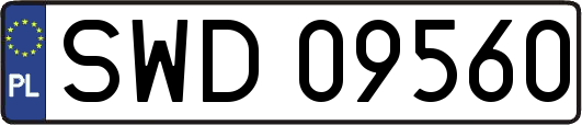 SWD09560