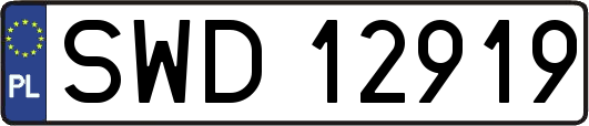 SWD12919