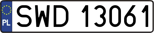 SWD13061