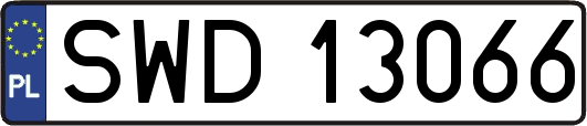 SWD13066