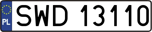 SWD13110