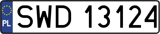 SWD13124
