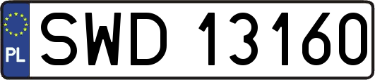 SWD13160