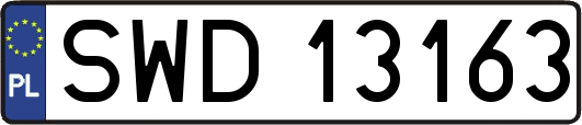 SWD13163