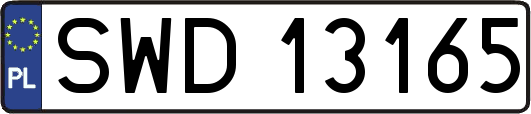 SWD13165