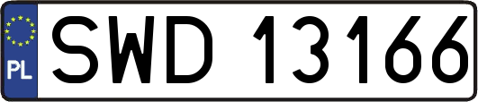 SWD13166