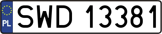 SWD13381