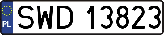 SWD13823