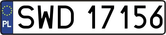 SWD17156