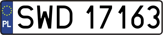 SWD17163