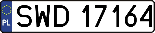 SWD17164
