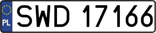 SWD17166