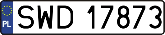 SWD17873