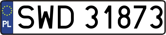 SWD31873
