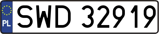 SWD32919