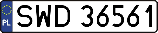 SWD36561