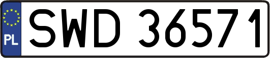 SWD36571