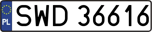 SWD36616