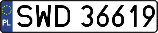 SWD36619