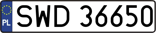 SWD36650