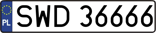 SWD36666