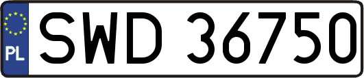 SWD36750