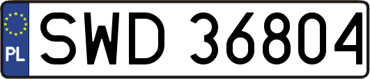 SWD36804