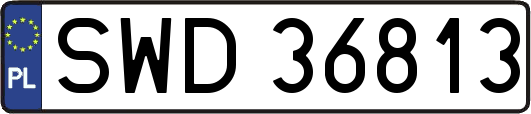 SWD36813