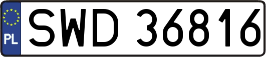 SWD36816