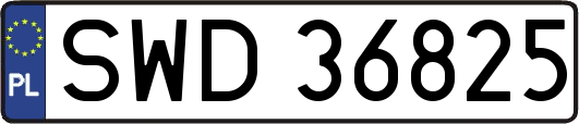 SWD36825