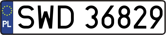 SWD36829