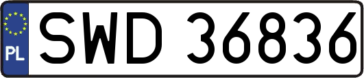 SWD36836