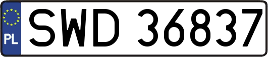 SWD36837
