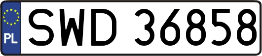 SWD36858