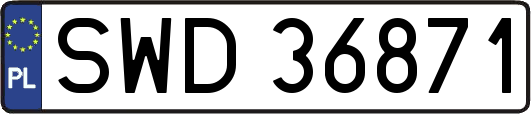 SWD36871