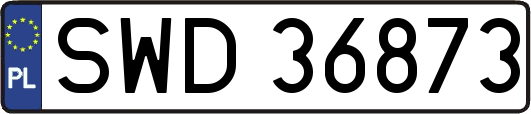 SWD36873