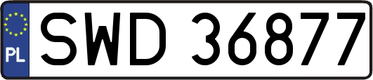 SWD36877