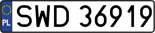SWD36919