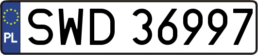 SWD36997