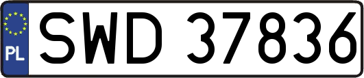 SWD37836