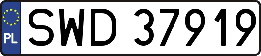 SWD37919