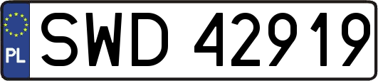 SWD42919