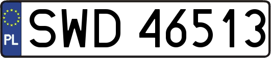 SWD46513
